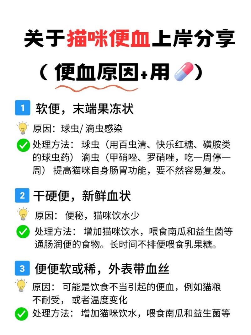 貓咪便血的常見原因及應(yīng)對(duì)策略