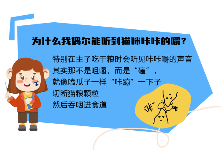 貓咪食道消炎，如何有效保護你的毛孩子