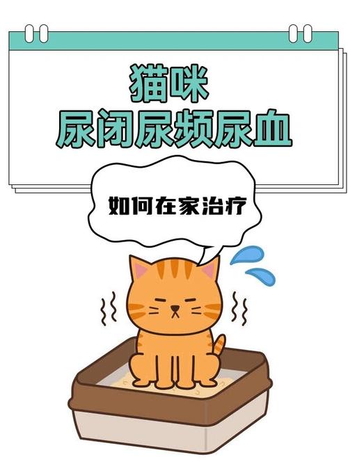 貓咪為何自己排尿？探索背后的真相