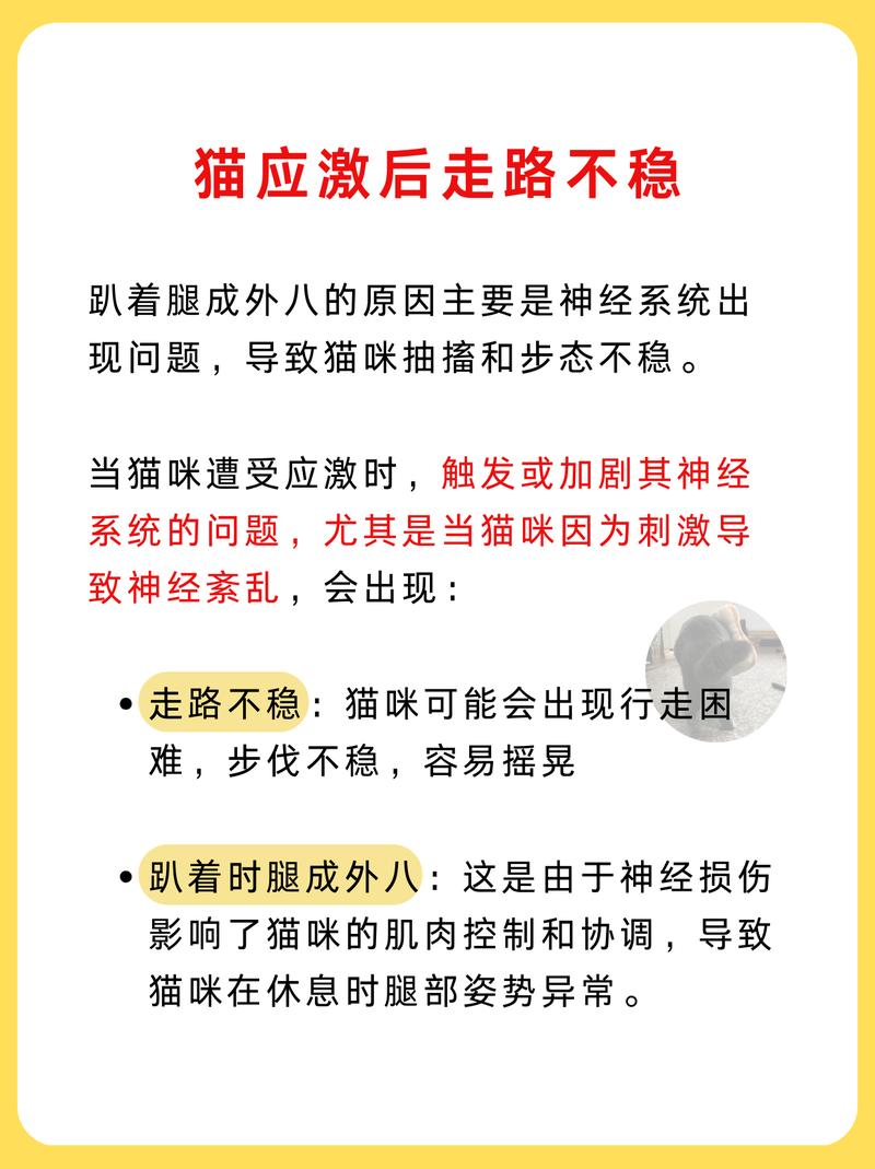 貓咪肌肉痙攣，了解癥狀與預(yù)防方法