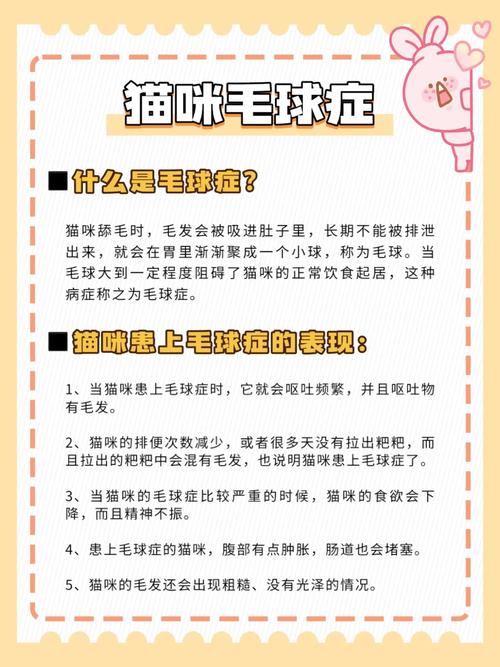 貓咪的舒適溫度，了解你的毛茸伙伴的溫暖需求