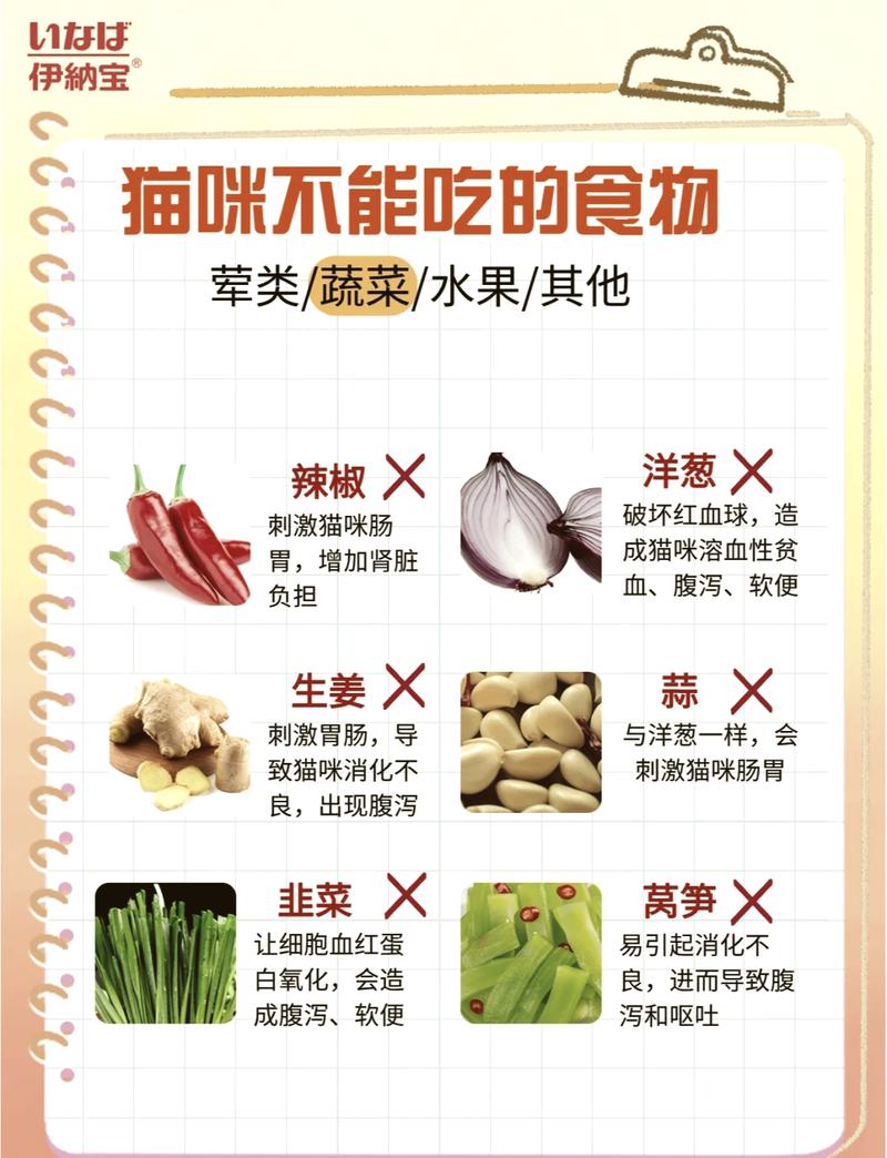 貓咪為什么叫喚？禁食背后的故事