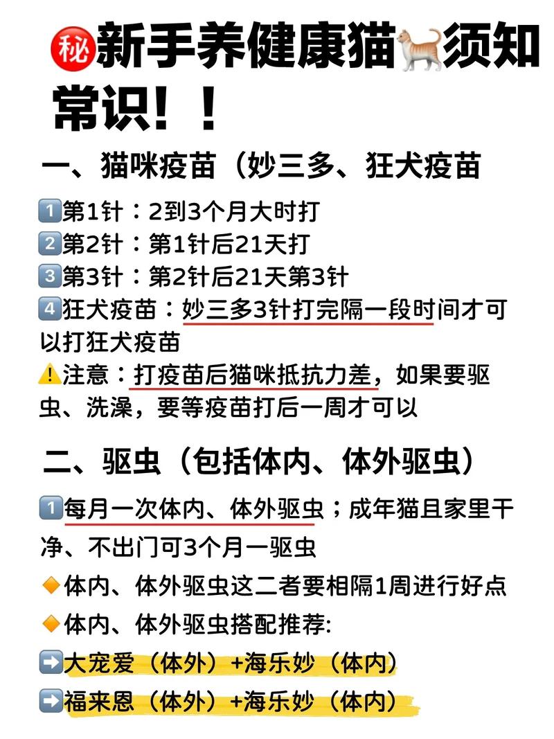 守護(hù)毛孩子健康，貓咪疫苗的重要性與正確接種