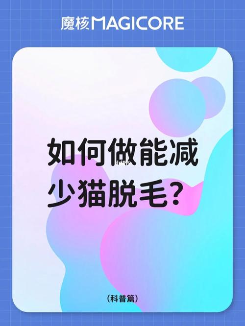 告別春季煩惱，貓咪春夏脫毛的那些事兒