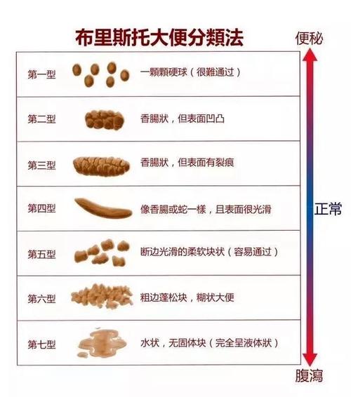 貓咪大便變細(xì)，了解潛在健康問題的警報(bào)信號(hào)