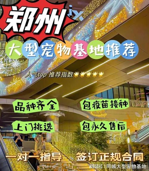 貓咪店鋪，溫馨家園，品質(zhì)保證——限時優(yōu)惠活動即將開啟