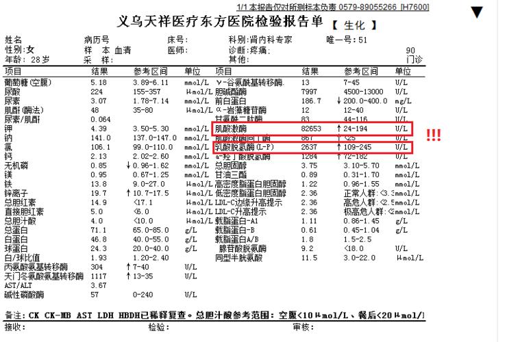 貓咪肌酸激酶，了解你的毛茸伙伴的健康指標(biāo)