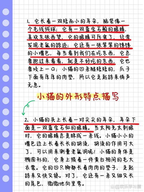 貓咪的奧秘世界，從毛色到習(xí)性，了解你的小貓朋友