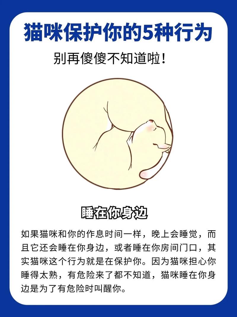 貓咪的秘密工廠，揭秘它們的乳汁奇跡