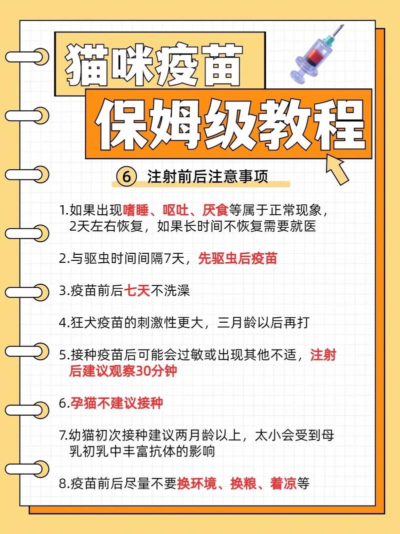 貓咪打針需知，常見疫苗注射流程解析