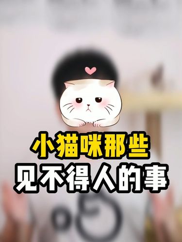 貓咪的低語——那些輕聲細語中的細膩情感