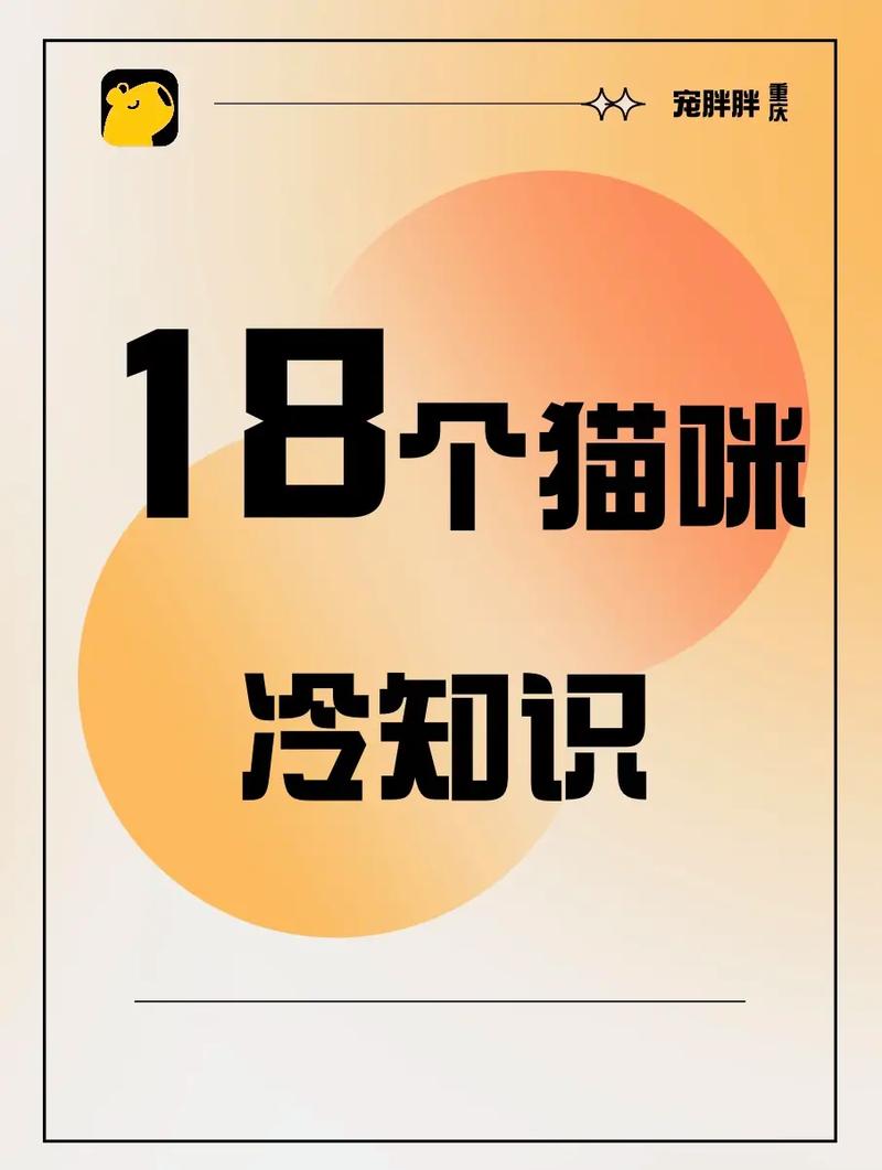 貓咪隔墻叫喚的秘密——跨越障礙的友誼