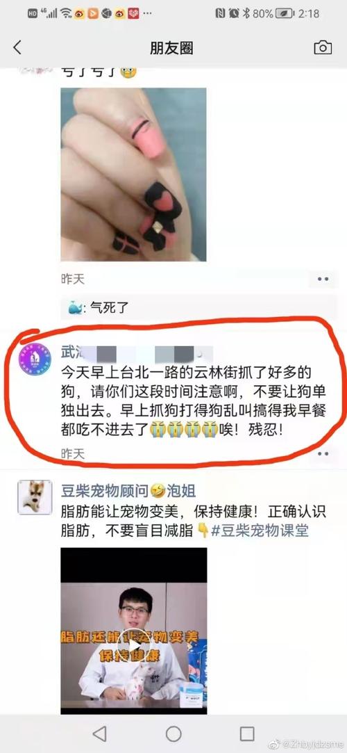 如何避免寵物悲劇