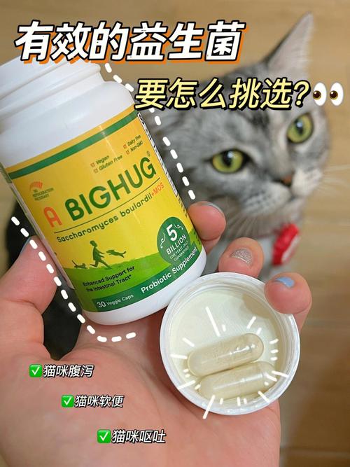 貓咪益生菌，為毛茸茸伙伴的腸道健康加分