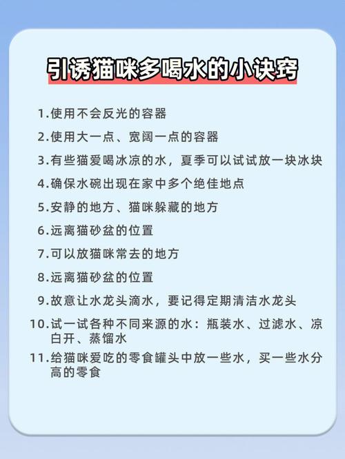 貓咪不飲水，常見(jiàn)原因與解決辦法