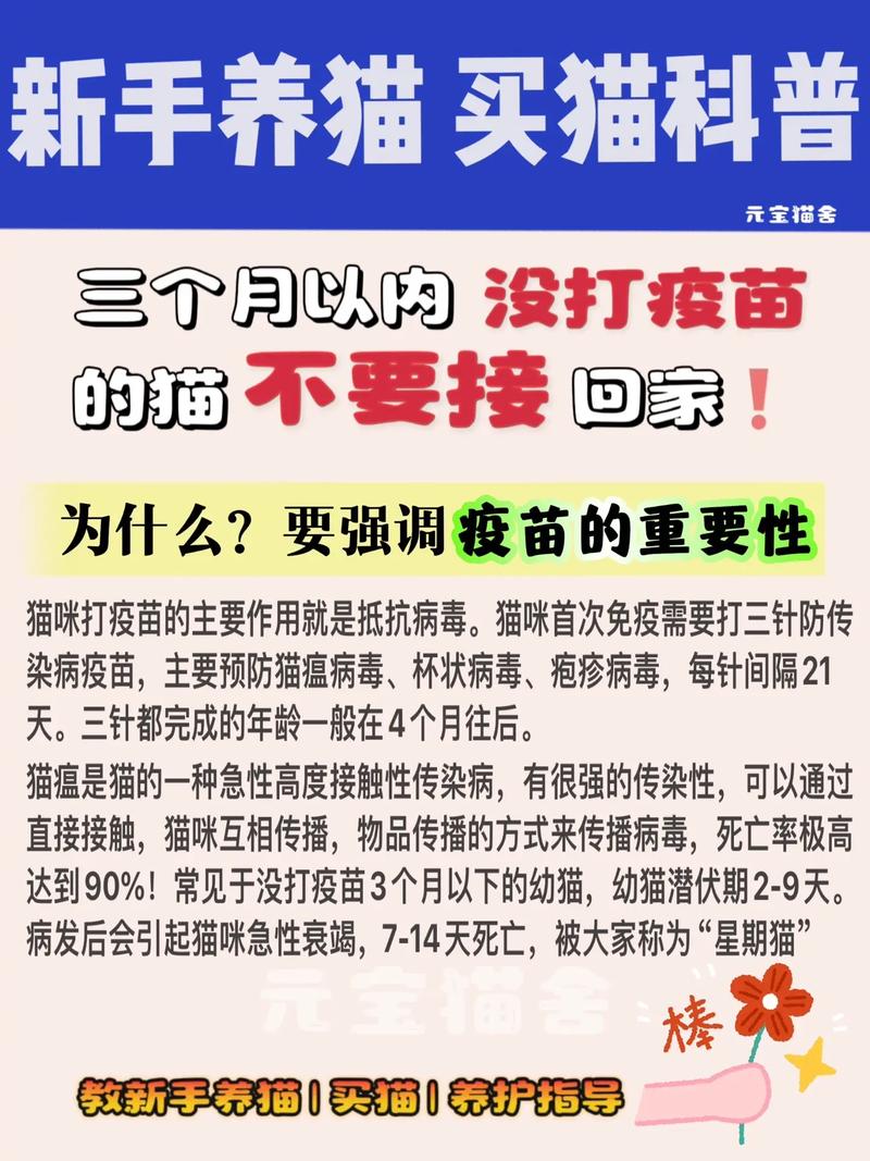 貓咪疫苗的重要性，為毛不打針？