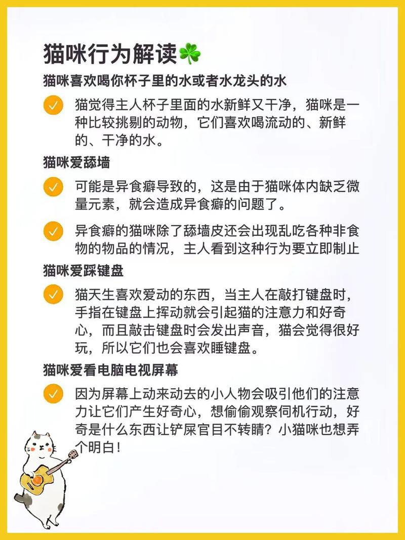 貓咪為何會(huì)無預(yù)警地發(fā)起攻擊？揭秘貓咪行為背后的秘密