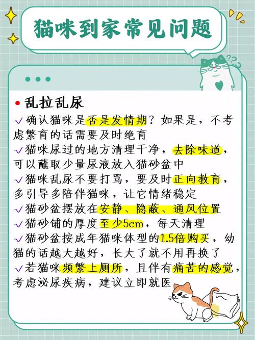 貓咪為何會(huì)吃自己的毛發(fā)？了解背后原因與解決方法