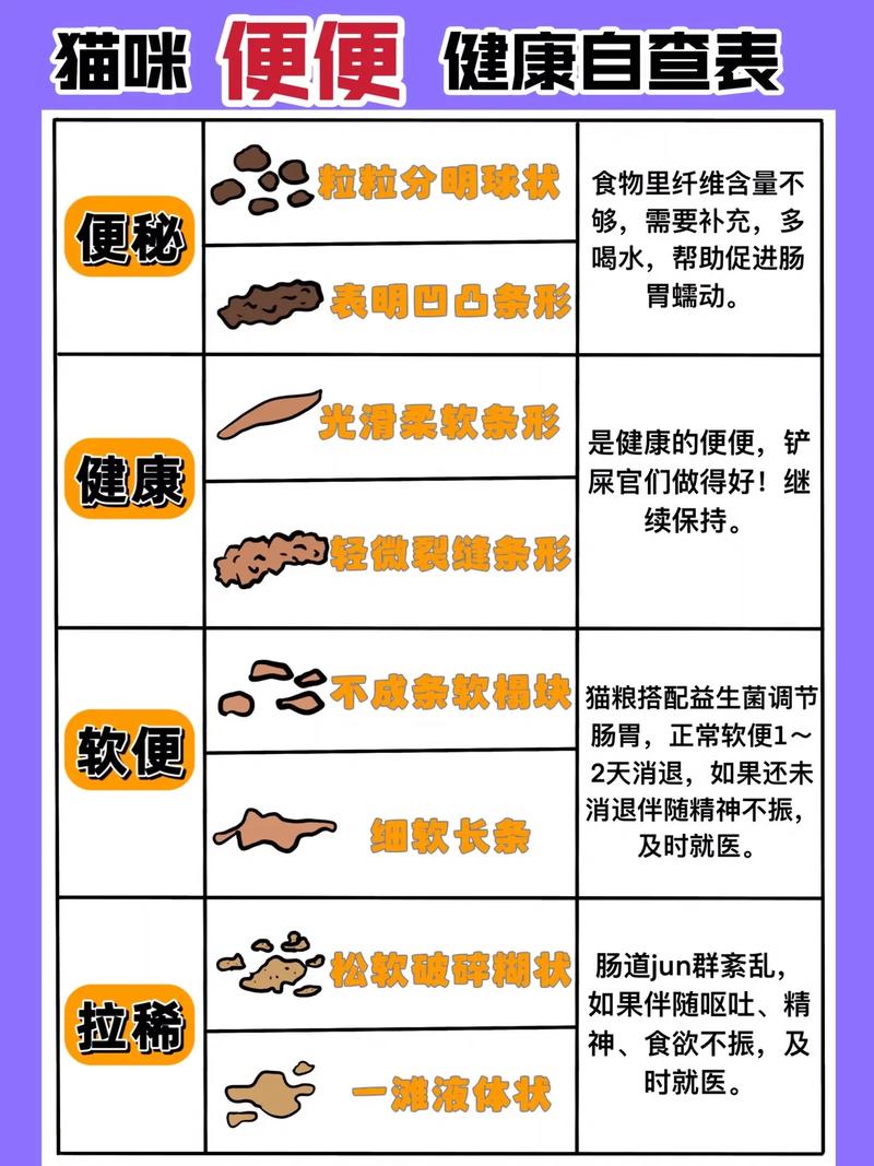 貓咪排泄物的健康信號(hào)——解讀貓咪糞便圖片