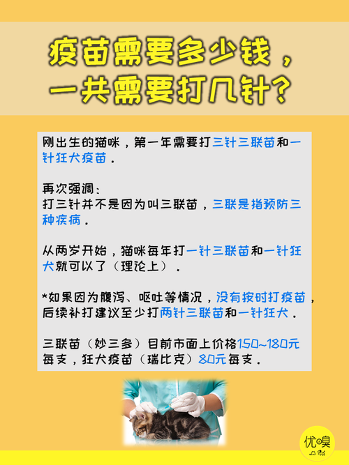 新生貓咪疫苗接種指南，保護(hù)毛孩子健康成長的必備步驟