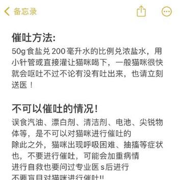 揭秘貓咪肥皂誤食后的急救小貼士