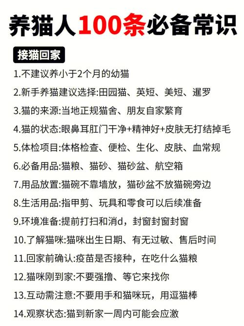 養(yǎng)貓秘籍，如何讓您的愛寵擁有健康亮麗的毛發(fā)