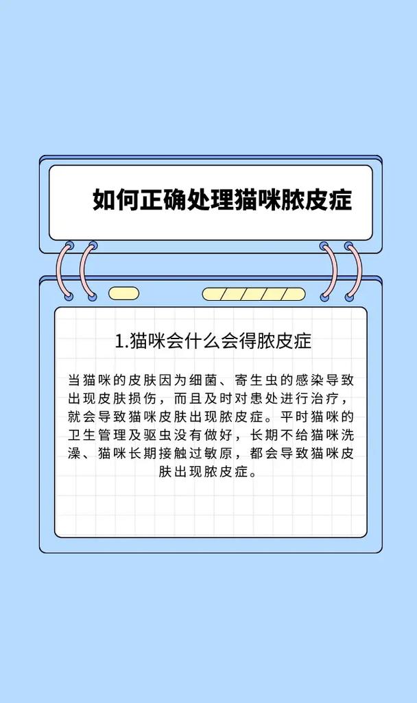 揭秘貓咪膿皮炎，病因、癥狀及治療方案