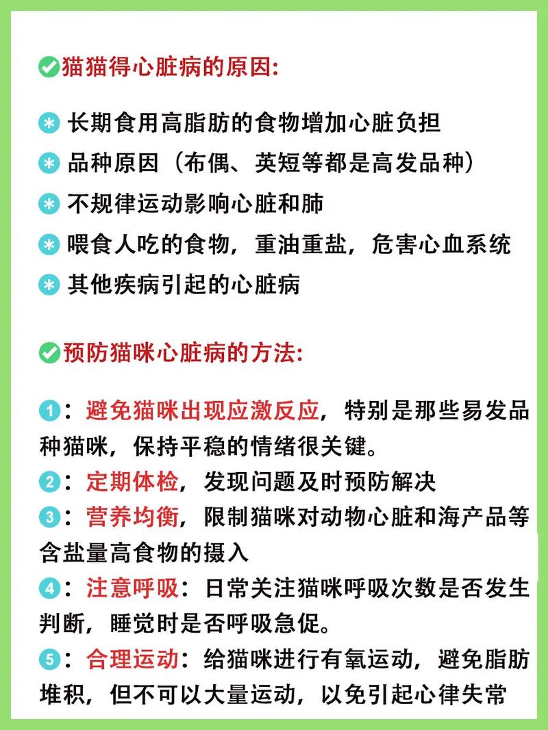 貓咪心臟的無(wú)聲哀歌，了解心衰對(duì)它們的影響