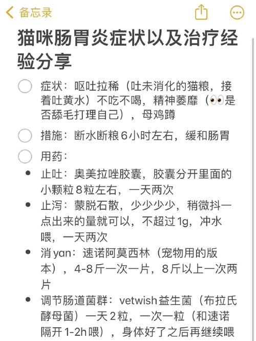 貓咪腸炎，如何預(yù)防與治療