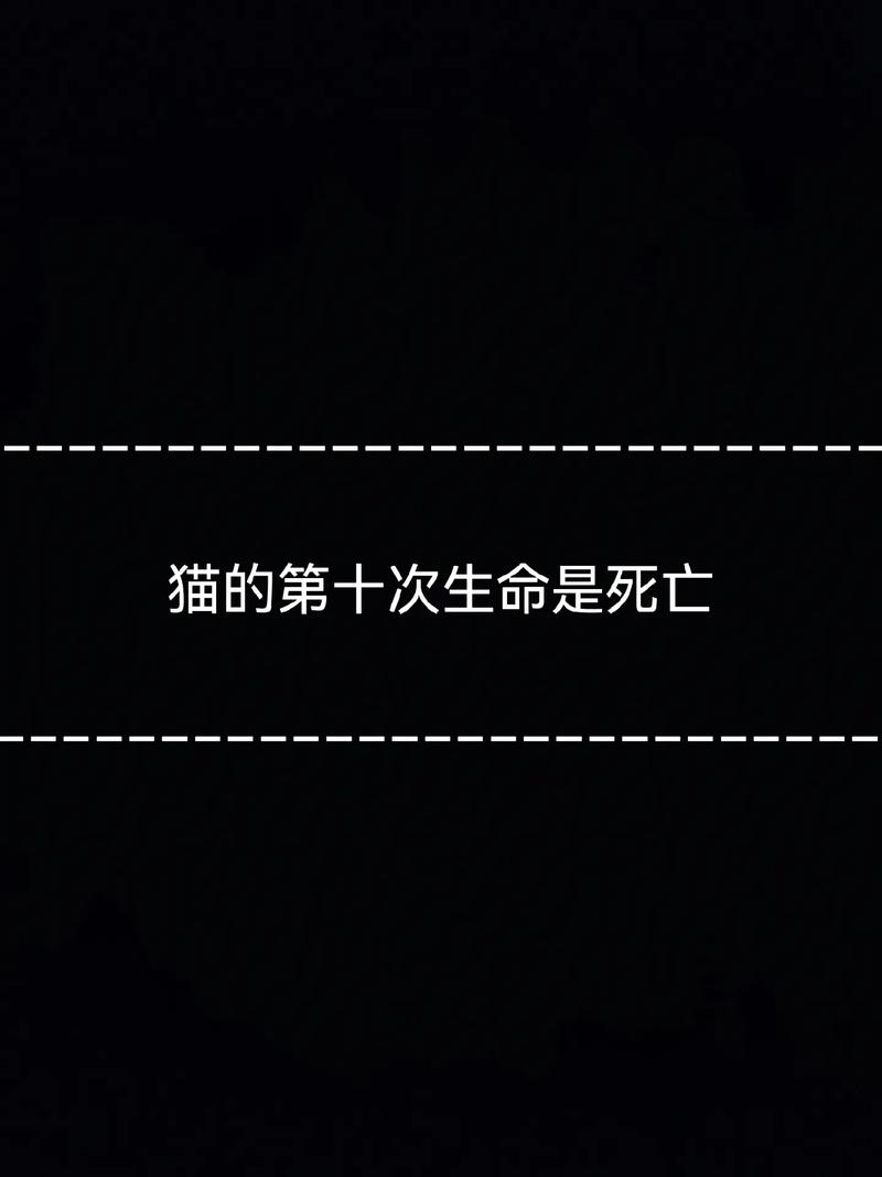 為何那只會(huì)顫抖的貓最終失去了生命？