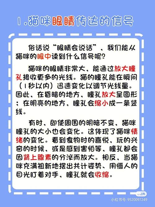 揭秘你的小貓咪的血液類型