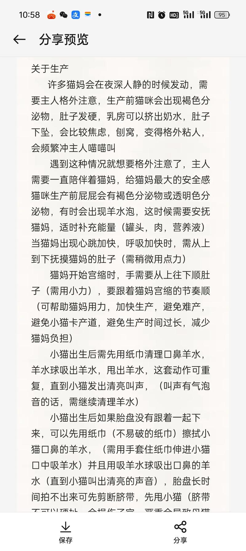 揭秘貓咪懷孕中期的健康與照顧秘籍