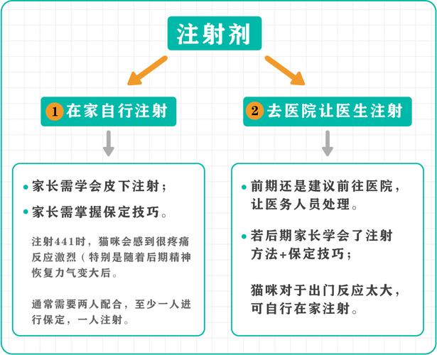 貓咪積液，了解病因與日常護理