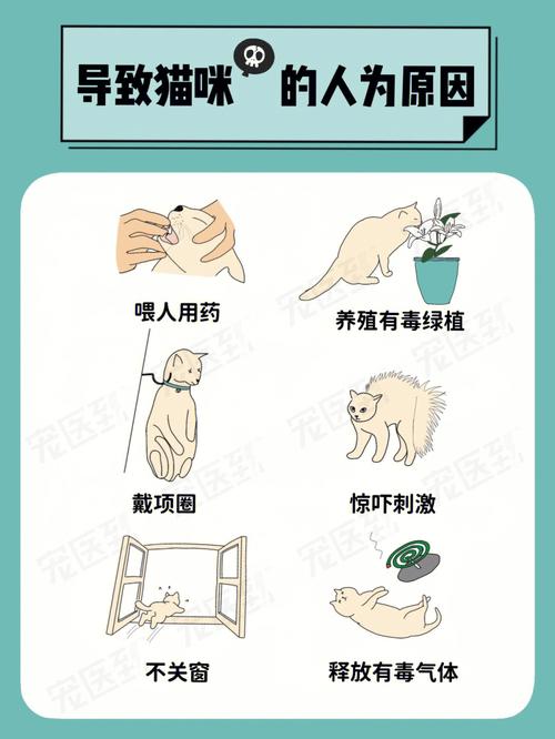 貓咪誤食布洛芬，了解風險與急救措施