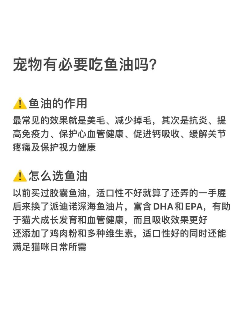 貓咪成長(zhǎng)食譜，如何為毛孩子打造營(yíng)養(yǎng)美味的健康飲食