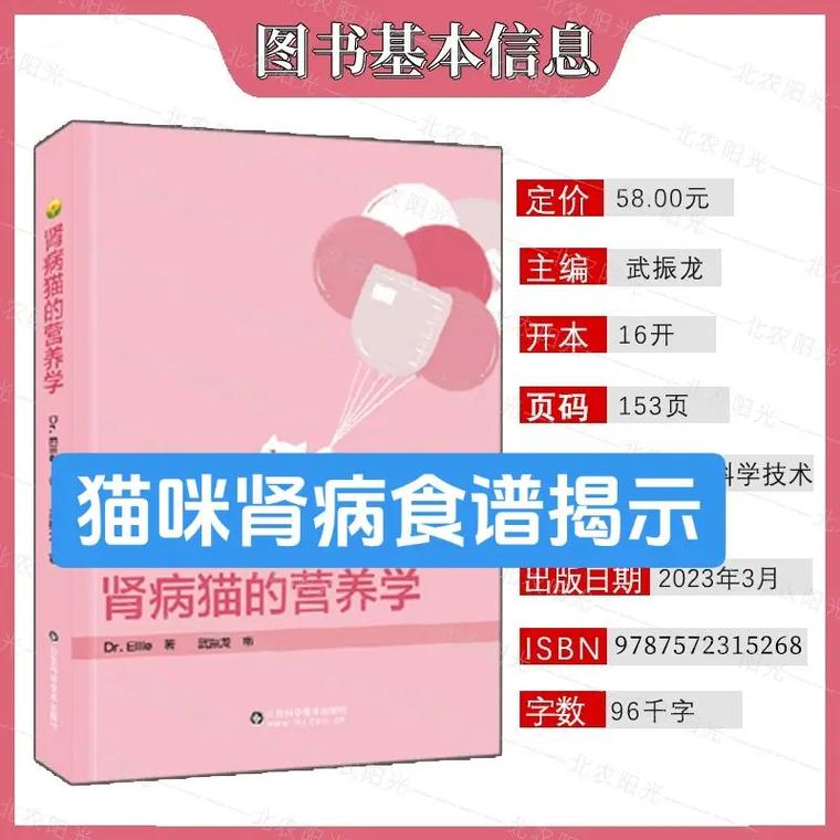 貓咪健康寶典，全面呵護(hù)腎臟