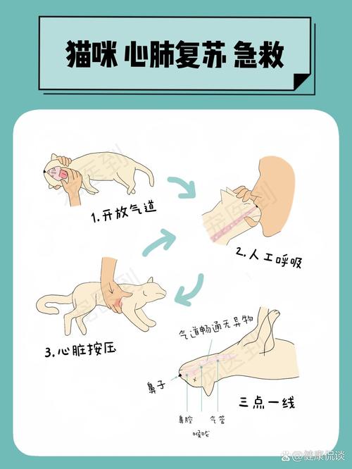 貓咪喘息沉重的真相，潛在健康問(wèn)題需要警惕