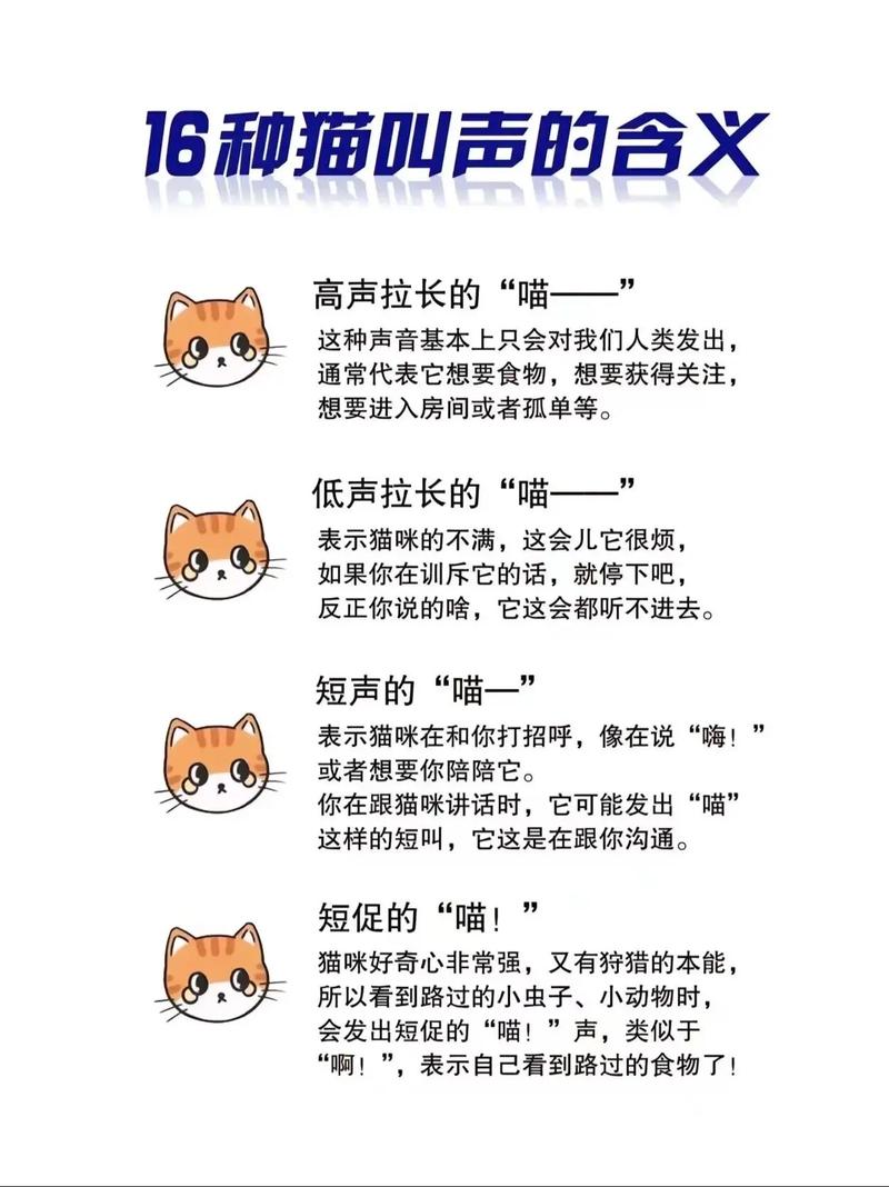 喵語揭秘，貓咪獨特叫聲背后的秘密