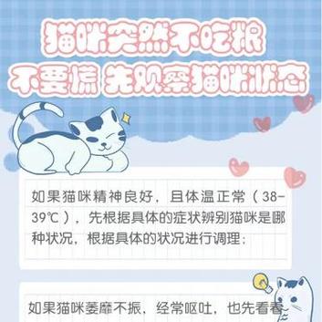 貓咪為何突然不吃東西？如何應(yīng)對