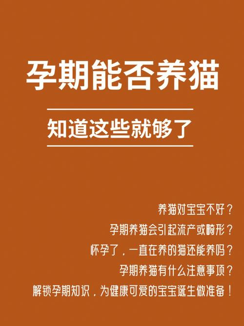 貓咪圈養(yǎng)，如何安全有效地照顧懷孕的母貓