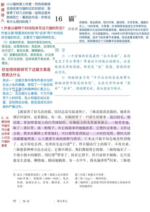 治愈貓咪扁癥，全面解析與治療指南