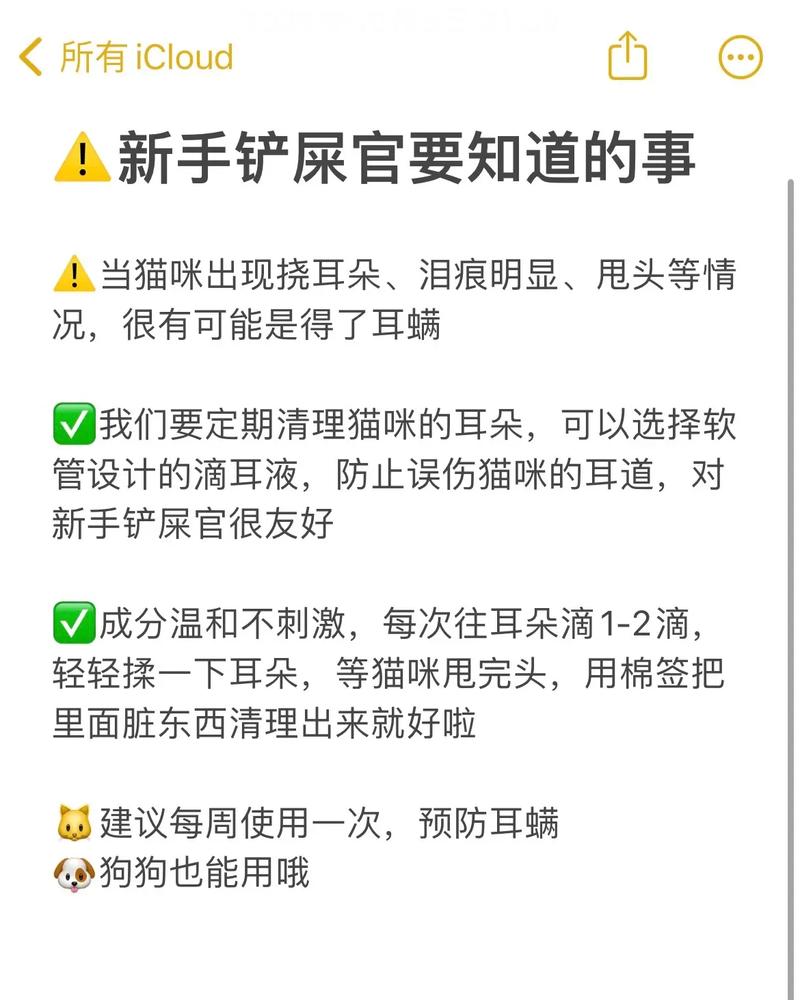 貓咪甩頭的秘密，解讀背后隱藏的信號