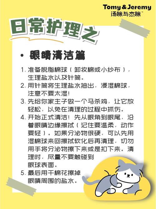 貓咪腎病，早期識(shí)別與護(hù)理的指南