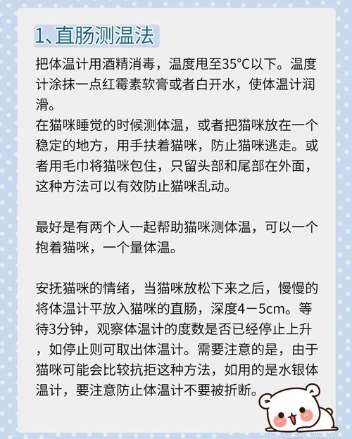 貓咪如何幫助主人回升體溫