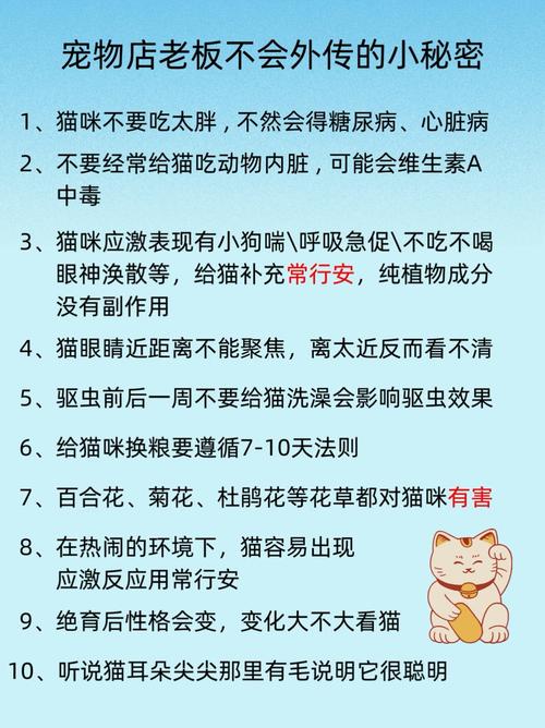 揭秘貓咪論壇等級(jí)晉升的秘密