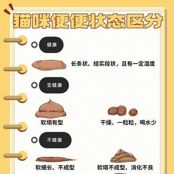 貓咪為何會(huì)軟掉？——揭秘貓咪體重減輕的原因