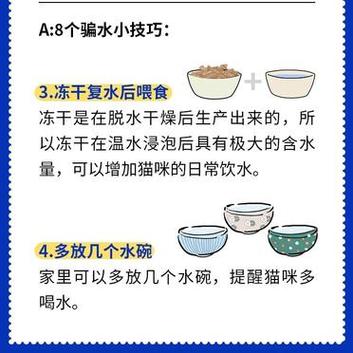 貓咪喝水時為何容易嗆到？專家解析避免誤區(qū)