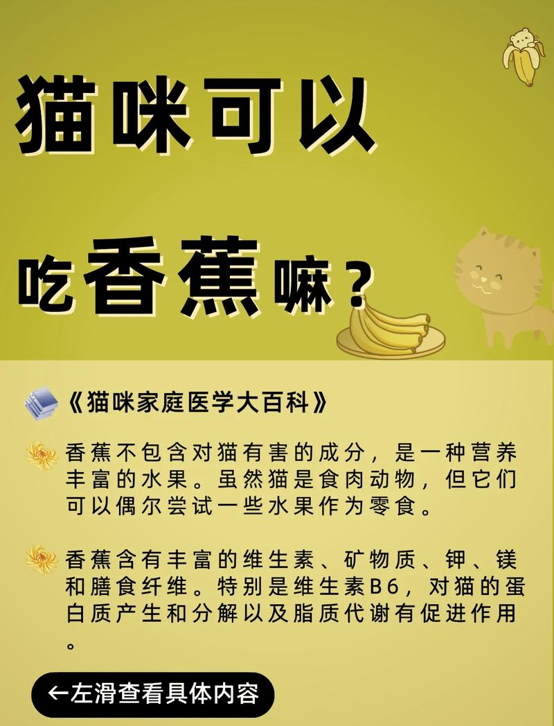 揭秘扁蟲(chóng)與貓咪的奇妙關(guān)系