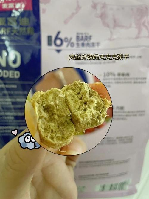 治愈系推薦拜耳貓咪護理套餐，為毛孩的健康保駕護航