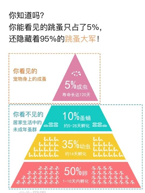 貓咪蠕螨，了解與預(yù)防